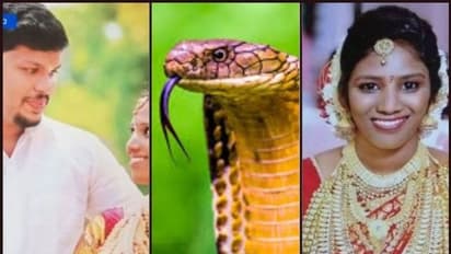 Kerala man kills wife with cobra: Fear of having to return dowry prompted Sooraj to murder Uthra