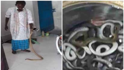 കുളിക്കുമ്പോൾ കാലിൽ ഉരുമ്മി മൂർഖൻ, ബിഹാറിലെ ഒരു സന്യാസിയുടെ വീട്ടിൽ നിന്ന് കണ്ടെടുത്തത് അമ്പതിൽപരം പാമ്പുകൾ