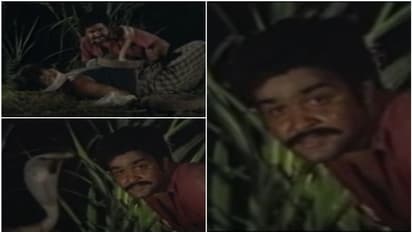 കരിമൂര്ഖനെക്കൊണ്ട് കൊത്തിച്ച് പ്രതികാരം തീര്ത്ത ആ മോഹന്ലാല് കഥാപാത്രം; 'കരിമ്പിന് പൂവിനക്കരെ'യിലെ സാമ്യം