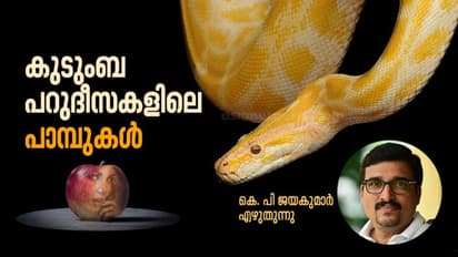 കുടുംബ പറുദീസകളിലെ പാമ്പുകള്