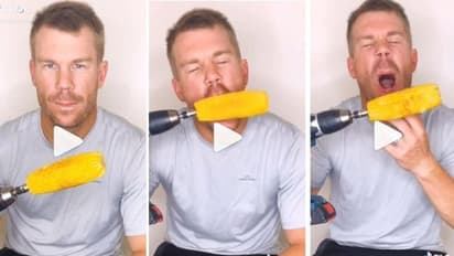 വാര്‍ണറുടെ പല്ലുകള്‍ കൊഴിഞ്ഞോ..? സംശയിപ്പിച്ച് പുതിയ ടിക് ടോക്ക് വീഡിയോ