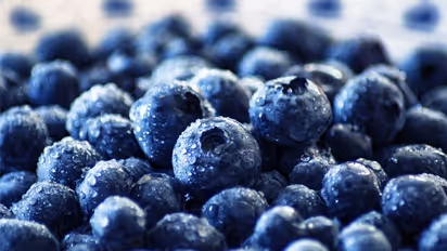 ജൈവരീതിയില്‍ ബ്ലൂബെറി വളര്‍ത്താം; ഈ സൂപ്പര്‍ ഫുഡ്ഡിന് ഗുണങ്ങളേറെ...