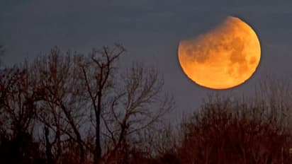 'অন্ধকার' ঘনিয়ে আসবে দিনের বেলায়, মহাজাগতিক দৃশ্যের সাক্ষী থাকবে গোটা বিশ্ব