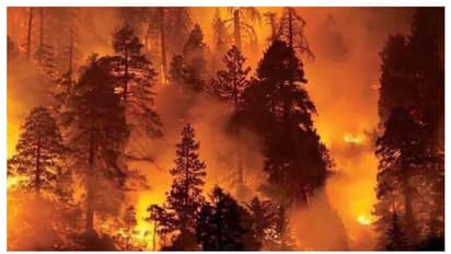 ಭಯಾನಕ ಕಾಡ್ಗಿಚ್ಚಿಗೆ ತತ್ತರಿಸಿದ ಸ್ಪೇನ್, ಪೋರ್ಚಗಲ್: ವಿಡಿಯೋ ವೈರಲ್