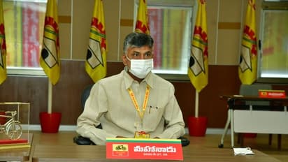 హైద్రాబాద్లో వరదలు: సహాయ చర్యల్లో పాల్గొనాలని పార్టీ నేతలకు బాబు ఆదేశం