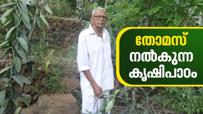 ലോക്ക്ഡൗണില്‍ വില്‍ക്കാന്‍ കഴിയാത്തത് നാണ്യവിളകള്‍; ഇത് തോമസിന്റെ കൃഷിഭൂമിയില്‍ നിന്നുള്ള കാഴ്ച