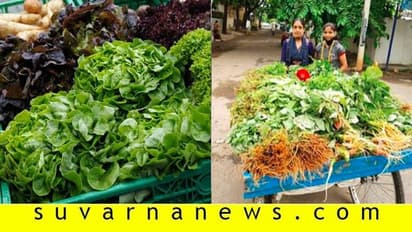 ಅಕೌಂಟೆಂಟ್‌ ಕೆಲ್ಸ ಹೋಯ್ತು: ಸೊಪ್ಪು ಮಾರಿ ಬದುಕು ಕಟ್ಟಿಕೊಳ್ತಿದ್ದಾರೆ ದಿಟ್ಟ ಯುವತಿಯರು