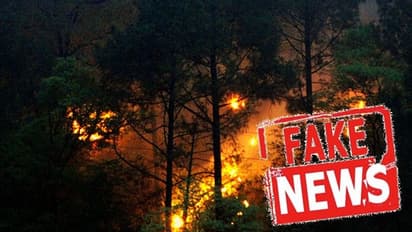 সোশ্যাল মিডিয়ায় ছড়াচ্ছে ভুয়ো খবর, দাবানলে জ্বলছে না দেবভূমি দাবি করলেন মুখ্যমন্ত্রী