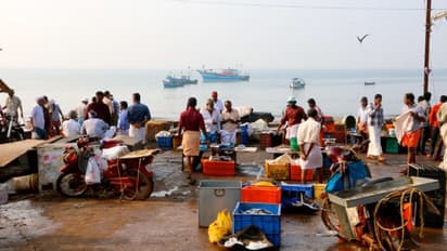 കോഴിക്കോട് മത്സ്യക്കച്ചവടക്കാരന് കൊവിഡ്;  തലശ്ശേരി മാര്‍ക്കറ്റില്‍ നിന്നെന്ന് സംശയം, നിരവധിപേരുമായി സമ്പർക്കം