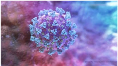 സംസ്ഥാനത്ത് ഒരു കൊവിഡ് മരണം കൂടി, പത്തനംതിട്ട സ്വദേശി കോട്ടയത്ത് മരിച്ചു