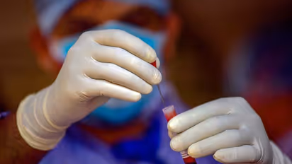 കൊവിഡ് 19: മലപ്പുറം ജില്ലയിൽ പുതിയ രോഗബാധിതരില്ല: 729 പേർ കൂടി നിരീക്ഷണത്തിൽ