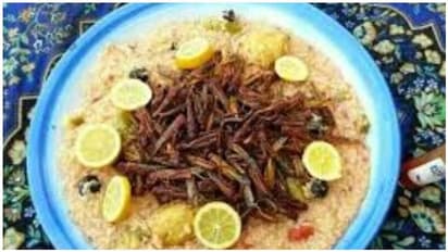 சிக்கனை மிஞ்சும் லோகஸ்ட்-65... இந்தியாவில் சக்கைப்போடு போடும் வெட்டுக்கிளி பிரியாணி விற்பனை..!