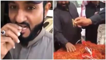 சந்தையில் விற்கப்படும் வெட்டுக்கிளியை வாங்க அலைமோதிய கூட்டம்! வீடியோ பார்த்து கொந்தளித்த தமிழ் நடிகை!