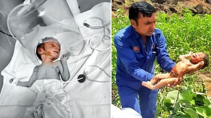 'भूख' से मर रहा था यह बच्चा..मां फेंककर चली गई, दूसरी बच्ची झाड़ियों में पड़ी थी और उसे चींटियां खा रही थीं