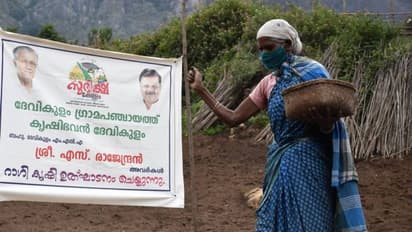 സുഭിക്ഷ കേരളം പദ്ധതിയിലൂടെ പരമ്പരാഗത കൃഷി തിരികെ എത്തിക്കാന്‍ ദേവികുളം ഗ്രാമ പഞ്ചായത്ത്