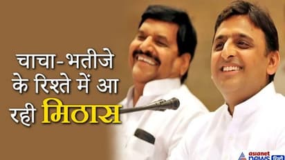 मुलायम की पूरी हो सकती है ये बड़ी ख्वाहिश, शिवपाल बोले- पार्टी में कद के हिसाब से पद मिला तो सभी दरवाजे खुले