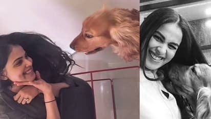 നായികമാരും അവരുടെ ഓമനമൃഗങ്ങളും; ചിത്രങ്ങള്‍