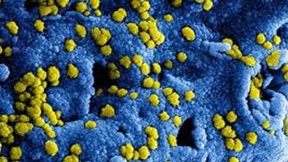 ಉಡುಪಿ: ಮತ್ತೆ 62 ಮಂದಿಗೆ ‘ಮಹಾ’ ಸೋಂಕು