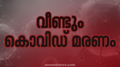 കേരളത്തിൽ വീണ്ടും കൊവിഡ് മരണം: പാലക്കാട് സ്വദേശിയായ 73-കാരി മരിച്ചു