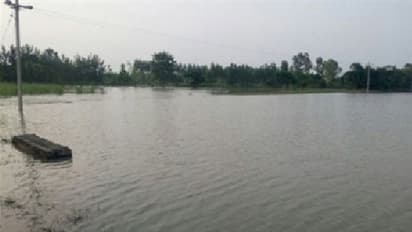 సరస్సులో మునిగి... అమెరికాలో హైదరబాద్ యువకుడు మృతి