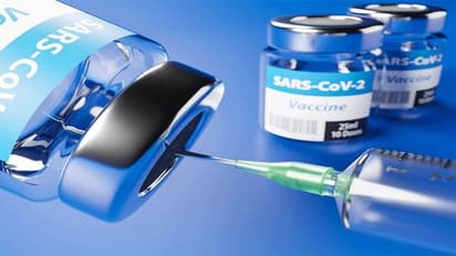 অক্সফোর্ড নিয়ে আশঙ্কার মাঝেই আশার আলো কোভ্যাক্সিনে, প্রাণীদের শরীরে দারুণ কাজ করছে 'মেড ইন ইন্ডিয়া' ভ্যাকসিন