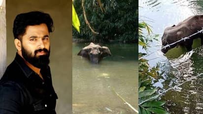 'വെറുതെ അല്ല ദൈവം കൊറോണ തന്നത്'; ആനയെ കൊലപ്പെടുത്തിയ സംഭവത്തില് ഉണ്ണി മുകുന്ദന്