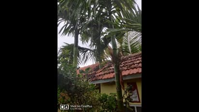 ಪುಟ್ಟ ಮನೆಯ ಸುತ್ತಲೂ ಚಂದದ ಗಾರ್ಡನ್, ಪಕ್ಷಿಗಳ ಚಿಲಿಪಿಲಿ, ಇಲ್ಲಿವೆ ಫೋಟೋಸ್