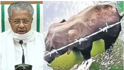 സ്ഫോടകവസ്തു കടിച്ച് ആന ചരിഞ്ഞ സംഭവം; വിശദ അന്വേഷണത്തിന് ടീമിനെ അയച്ചെന്ന് മുഖ്യമന്ത്രി