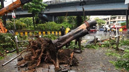 महाराष्ट्र से गुजरा चक्रवात निसर्ग कमजोर पड़ा, रायगढ़, सिंधुदुर्ग और रत्नागिरी सबसे अधिक प्रभावित