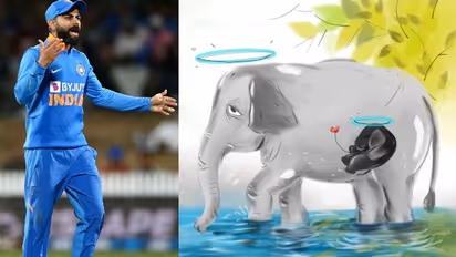 'ഈ ഭീരുത്വം നിര്ത്താന് സമയമായി'; പിടിയാനയുടെ മരണത്തില് പ്രതികരണവുമായി കോലി