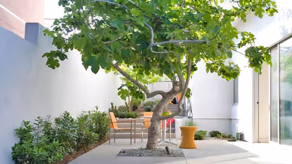 আয়ের পরিমান বাড়াতে পরিশ্রমের পাশাপাশি নজর দিন বাস্তুতে, মেনে চলুন এই কটি নিয়ম