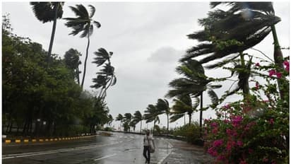 സംസ്ഥാനത്ത് കാലവർഷം സജീവമാകുന്നു; 12 ജില്ലകളിൽ യെല്ലോ അലർട്ട്