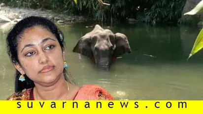 ಮನುಷ್ಯನ ಮೋಜಿಗೆ ಆನೆ ಬಲಿ;ದರ್ಶನ್ ಪತ್ನಿ ವಿಜಯಲಕ್ಷ್ಮಿ ನೋವಿನ ನುಡಿಗಳಿವು!