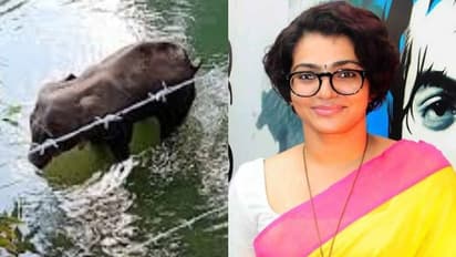 'മൃഗങ്ങള്ക്കെതിരായ അതിക്രമം നിര്ത്തണം, ഒരു വിഭാഗത്തെ ലക്ഷ്യമിട്ട് വിദ്വേഷമുണ്ടാക്കുന്നവരോട് ലജ്ജ തോന്നുന്നു'