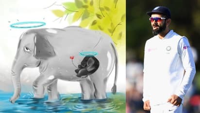 Kerala elephant killing: Virat Kohli wants ‘cowardly acts’ to end; Rohit Sharma says ‘we are savages’