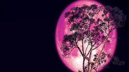 Strawberry Moon: నేడు ఆకాశంలో అద్భుత దృశ్యం.. భూమికి అత్యంత చేరువగా చంద్రుడు
