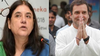 Elephant fed with fruit bomb: Maneka Gandhi questions Rahul Gandhi & Kerala government