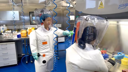 Joint WHO-China study states animals likely source of COVID-19