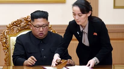 തങ്ങളെ ദുഷിച്ചുള്ള ലഘുലേഖകൾ ബലൂണിൽ അതിർത്തിക്കപ്പുറം വിടുന്ന 'തെരുവുപട്ടികളെ' നിലക്കുനിർത്തണമെന്ന് കിം യോ ജോങ്