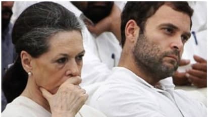 rahul gandhi news: சோனியா, ராகுல் காந்திக்கு 25 ஆண்டுகள் சிறை கிடைக்கும்: சுப்பிரமணியன் சுவாமி ஆரூடம்