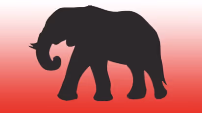 കോട്ടപ്പടിയിൽ കാട്ടാന പശുക്കിടാവിനെ കുത്തിക്കൊന്നു