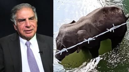 'ഇത് കരുതിക്കൂട്ടിയുള്ള കൊലപാതകം'; ആന ചരിഞ്ഞ സംഭവത്തില് പ്രതികരണവുമായി രത്തൻ ടാറ്റ