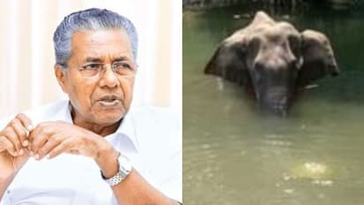 കാട്ടാന ചരിഞ്ഞ സംഭവം; വര്ഗ്ഗീയ പ്രചാരണങ്ങള്ക്കെതിരെ മുഖ്യമന്ത്രി പിണറായി വിജയന്