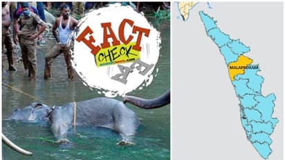 ഗർഭിണിയായ കാട്ടാന ചരിഞ്ഞത് പാലക്കാട്; പിന്നെങ്ങനെ മലപ്പുറത്തിന്റെ പേര് വന്നു?