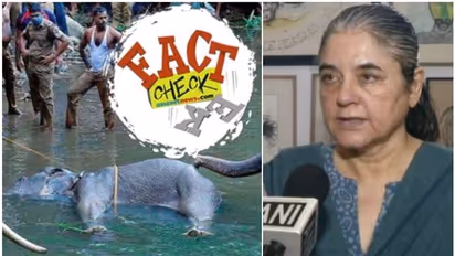 കേരളത്തില് മൂന്ന് ദിവസത്തിനിടെ ഒരാന കൊല്ലപ്പെടുന്നു? മേനകാ ഗാന്ധിയുടെ പരാമര്ശത്തിലെ വസ്തുത