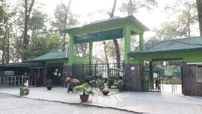 পর্যটকদের জন্য় সুখবর, আনলক পর্বে খুলছে শিলিগুড়ির বেঙ্গল সাফারি পার্কও