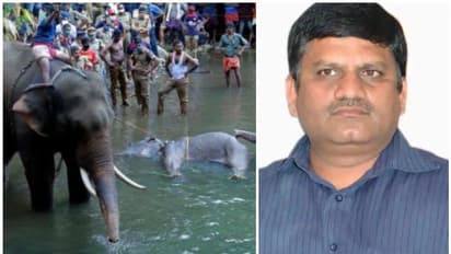 ആന ചരിഞ്ഞ സംഭവം; കുറ്റവാളിയെക്കുറിച്ച് വിവരം നല്കുന്നവര്ക്ക് വന്തുക പ്രതിഫലവുമായി ഹൈദരബാദ് സ്വദേശി