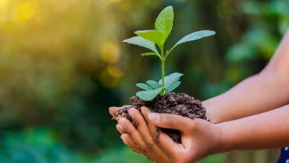 ജൈവ വൈവിധ്യത്തെ ആഘോഷമാക്കുക: ഇന്ന് ലോക പരിസ്ഥിതി ദിനം