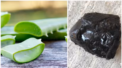 'ചെന്നിനായകം' എന്നാൽ 'കറ്റാർവാഴ' ഉണക്കിയെടുക്കുന്നതാണെന്ന് അറിയാത്തവരുണ്ടോ നിങ്ങളിൽ ആരെങ്കിലും?