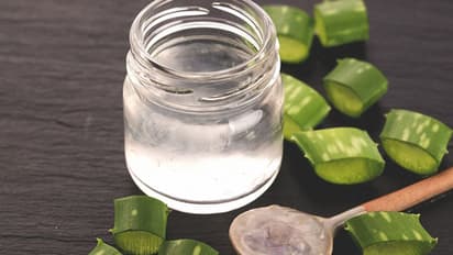 కలబంద రసం తాగడం వల్ల ఇన్ని లాభాలున్నాయా..?